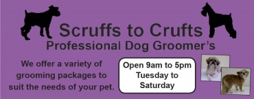 Scruffs to Crufts Scruffs to Crufts