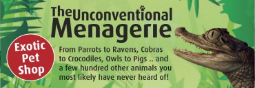 The Unconventional Menagerie The Unconventional Menagerie
