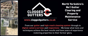 Clogged Gutters