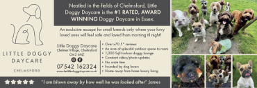 Little Doggy Daycare