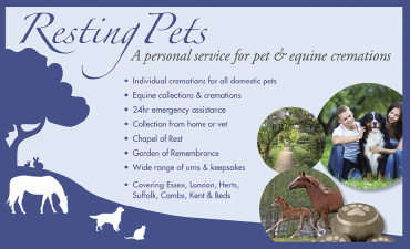 Resting Pets Ltd